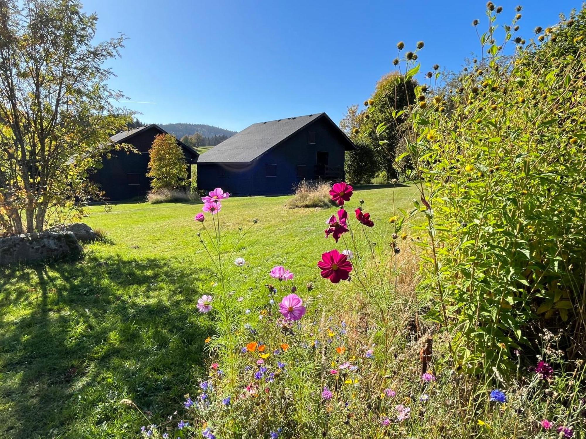 Holiday Home Rechbergblick - Beu302 By Interhome Bernau im Schwarzwald Eksteriør bilde